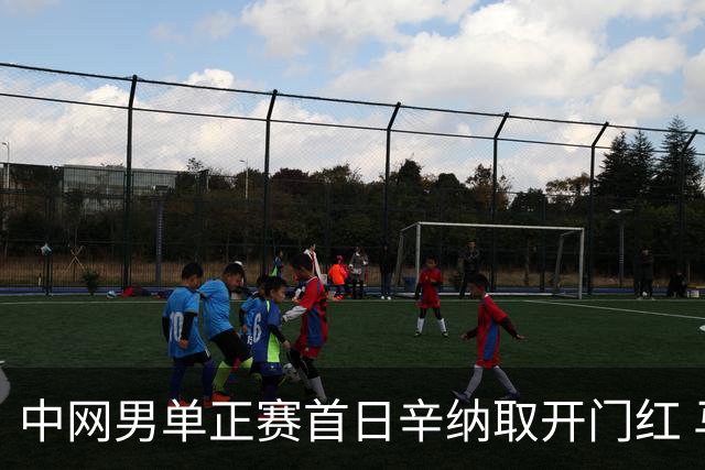 中网男单正赛首日辛纳取开门红 马纳里诺赢300胜